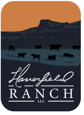 2026_rev Ranch icon