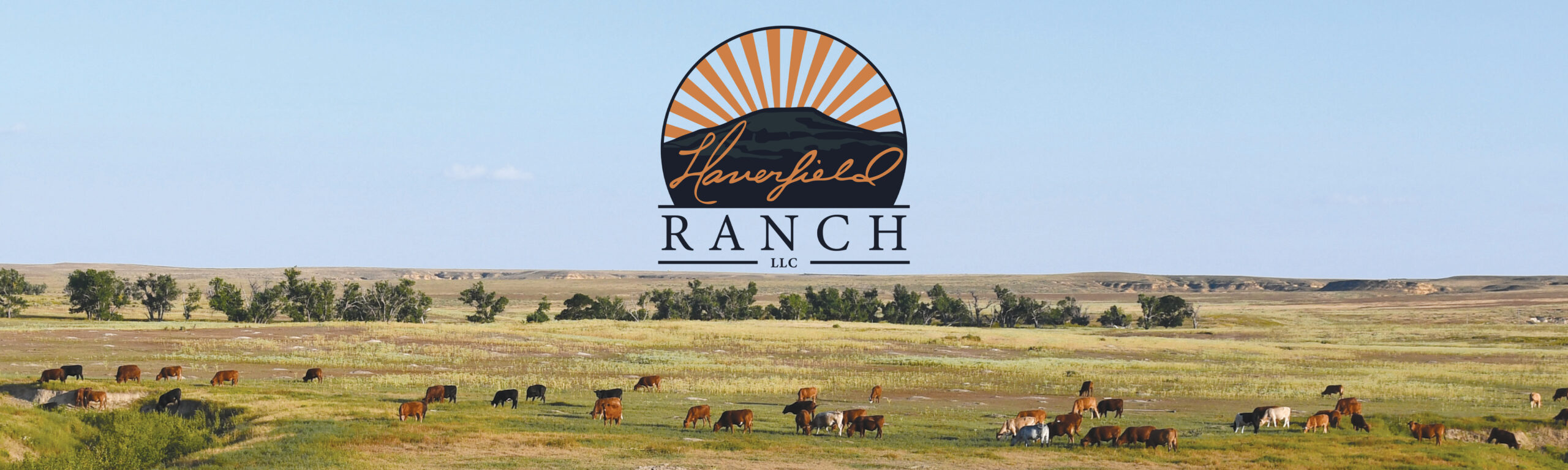 2026_rev Ranch top picture